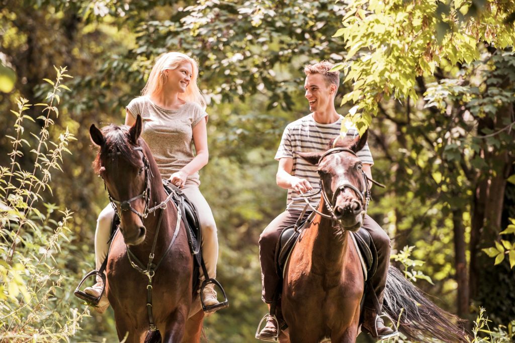 Luxury Ranch Retreats with a Wild Twist
