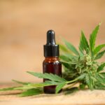 CBD – Naturlige Muligheter For Bedre Helse