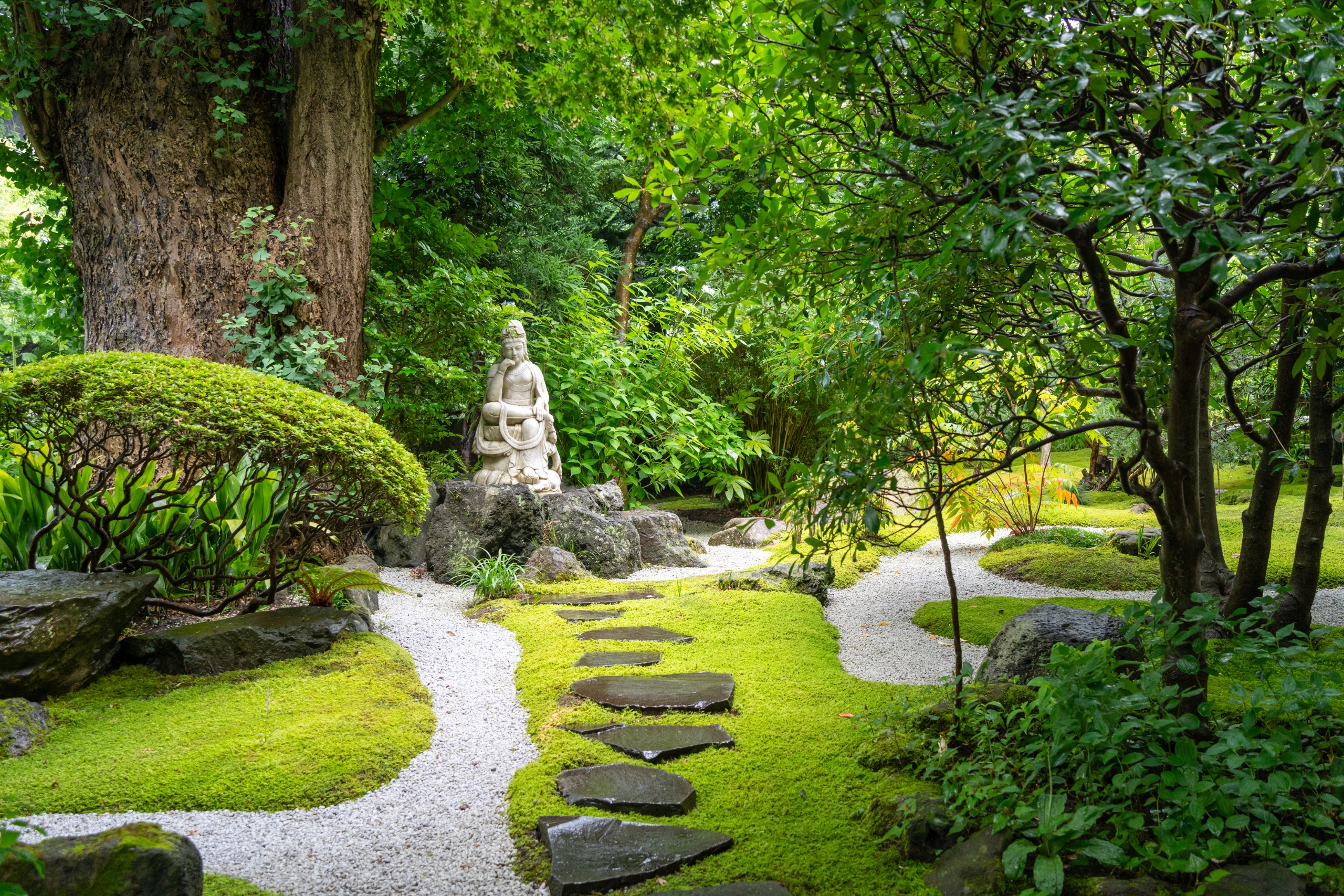 Best Travel Destinations for Plant Lovers Perfect Places for Green Thumbs and Nature Lifestyles