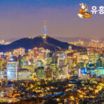 부산유흥 바로가기, 그 이면에서 마주한 현장의 목소리